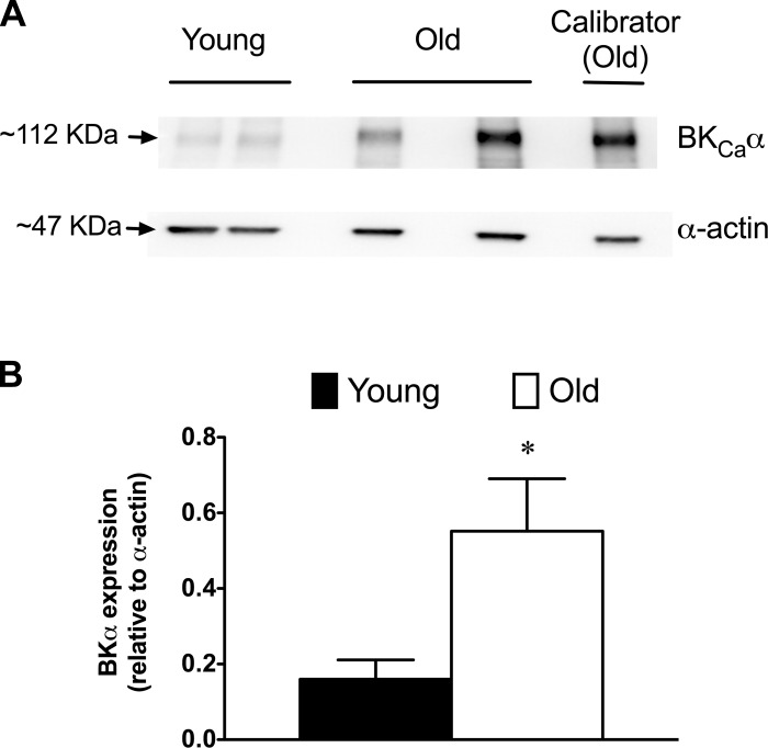 Fig. 11.