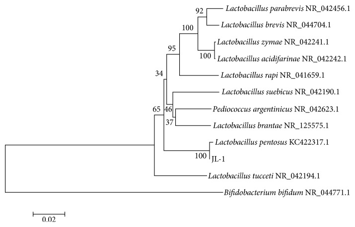 Figure 1