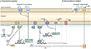 Figure 2 |