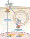 Figure 3 |