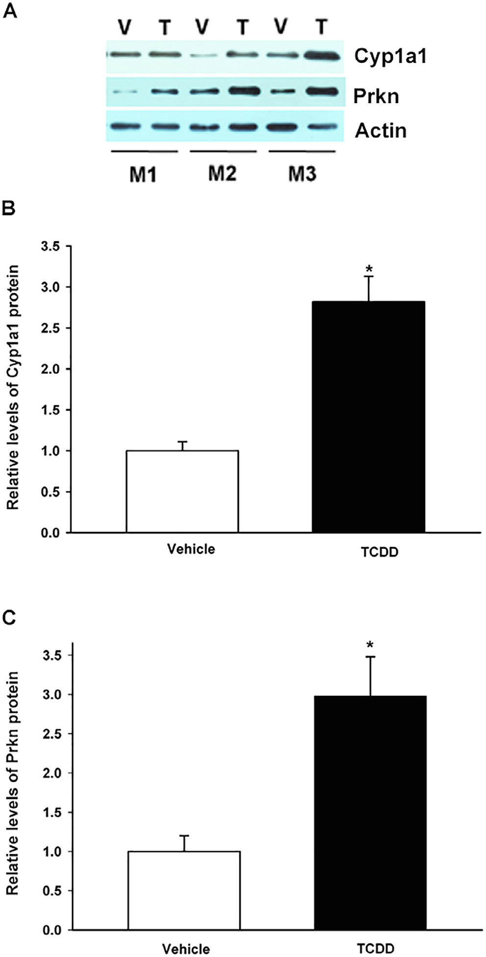 Fig. 3.