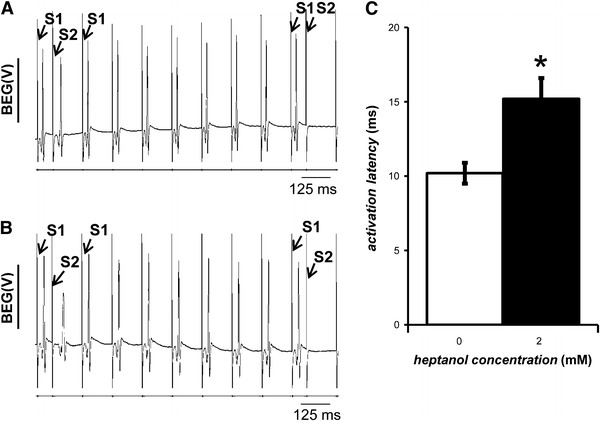 Fig. 6