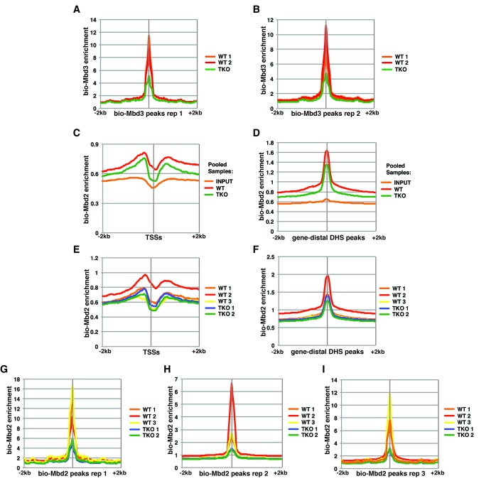 Figure 1—figure supplement 1.