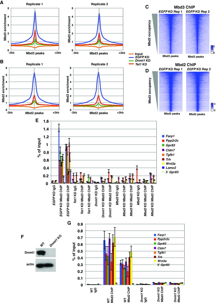 Figure 2—figure supplement 2.