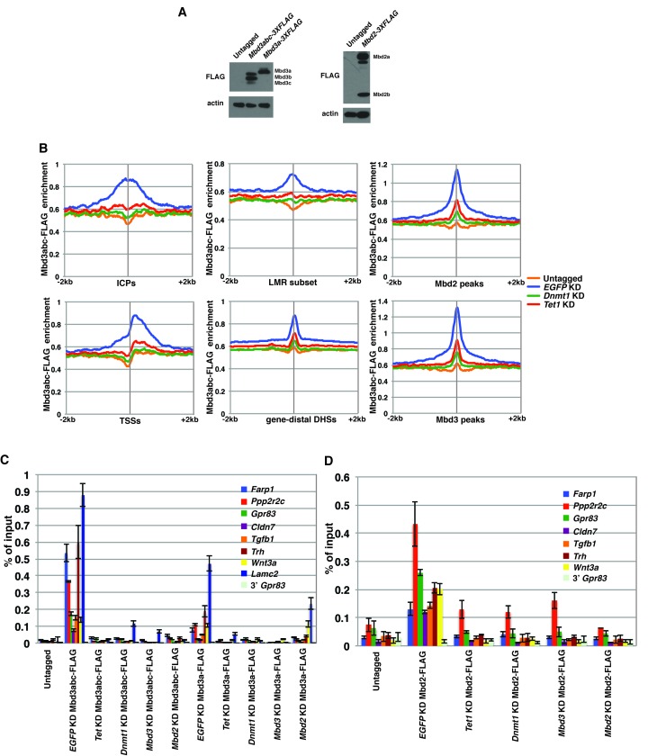 Figure 2—figure supplement 3.