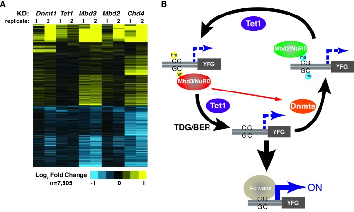 Figure 6.