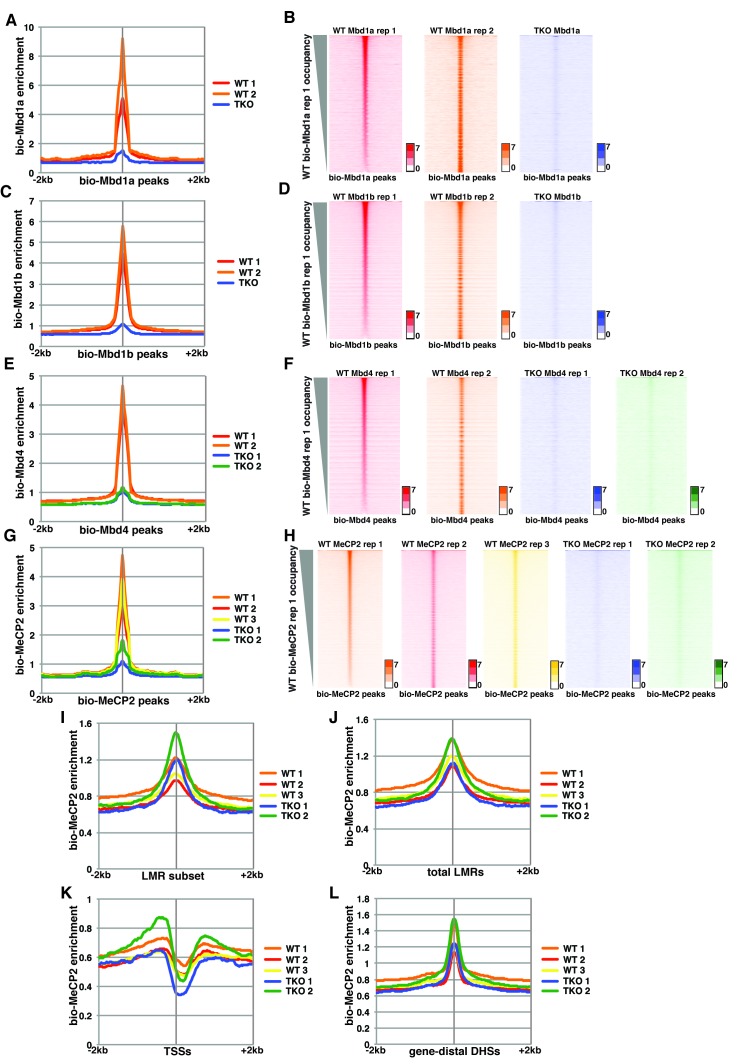 Figure 1—figure supplement 2.