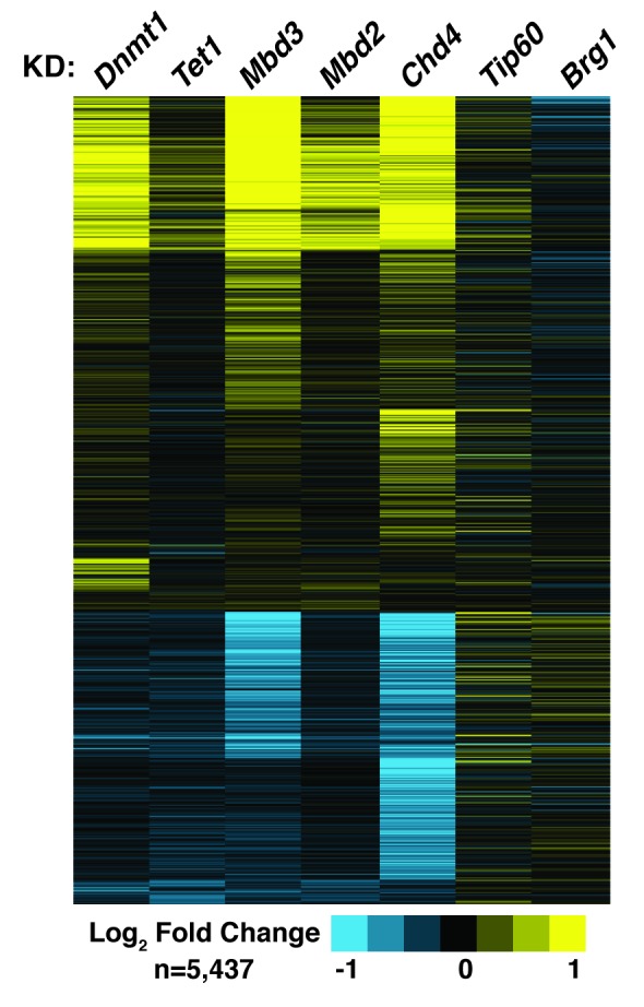 Figure 6−figure supplement 1.