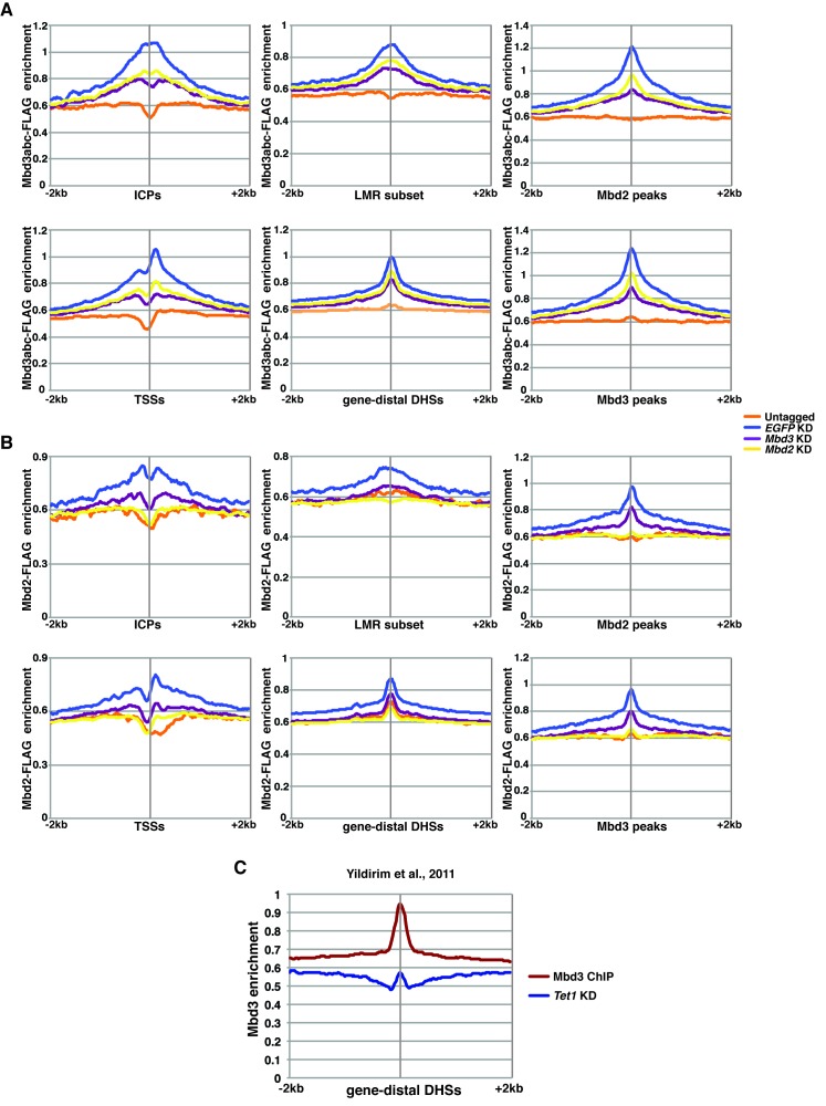 Figure 2—figure supplement 4.