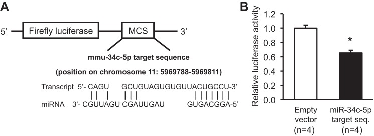 Fig. 9.