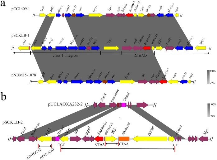 FIG 2