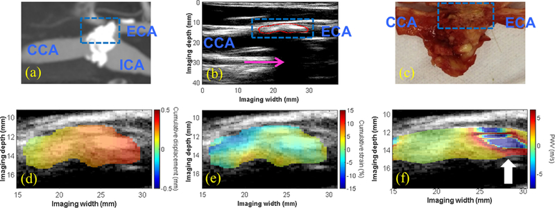 Figure 5: