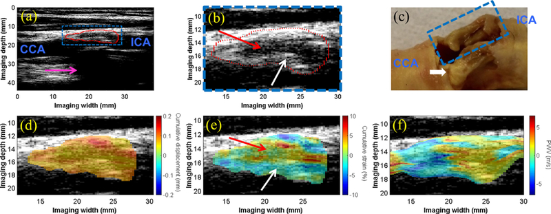 Figure 6: