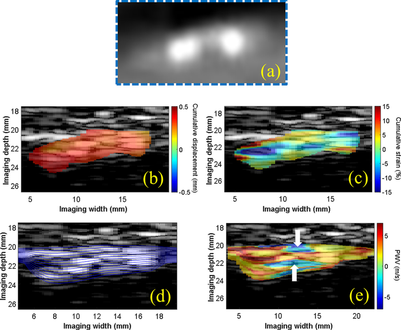 Figure 4: