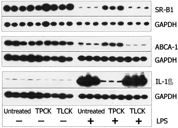 FIG. 5.