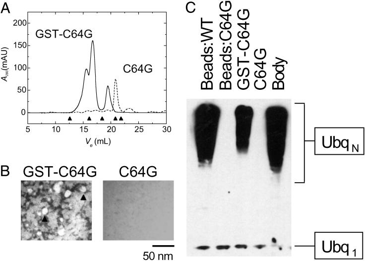 Fig 4.