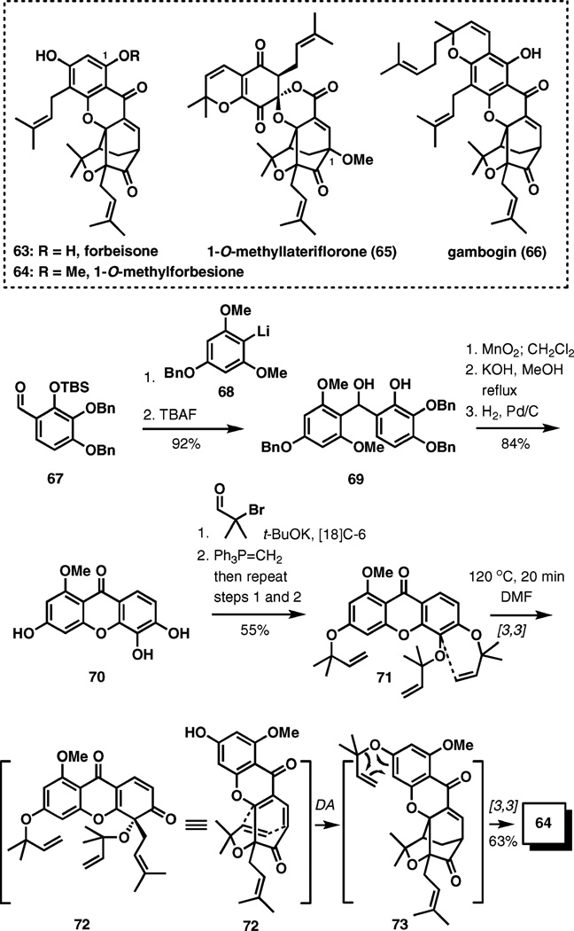 Scheme 8