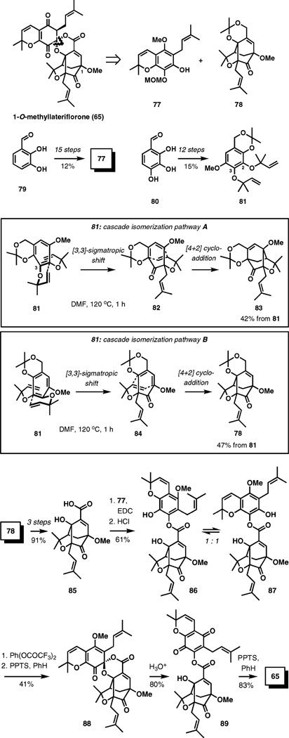 Scheme 9