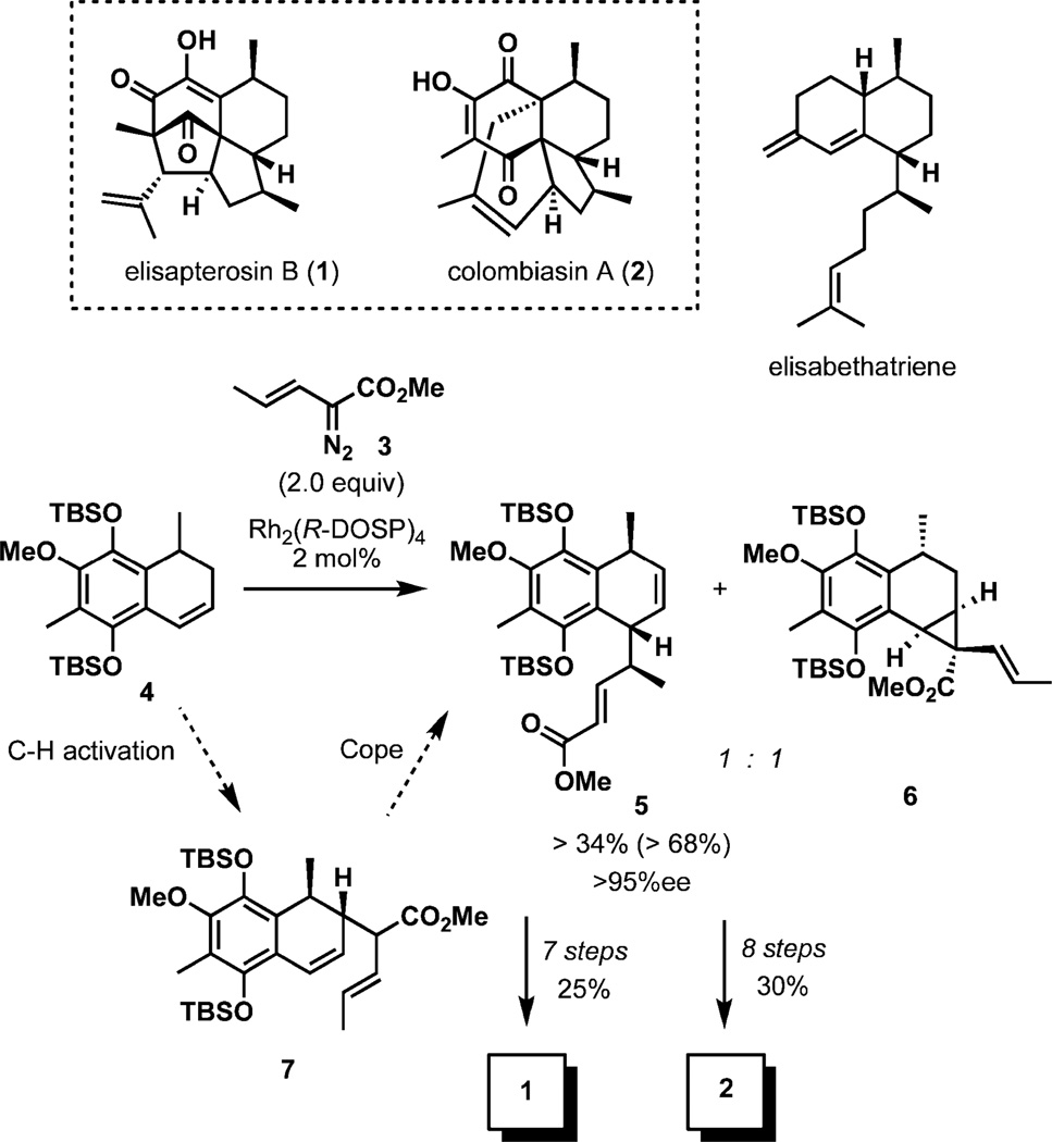 Scheme 1