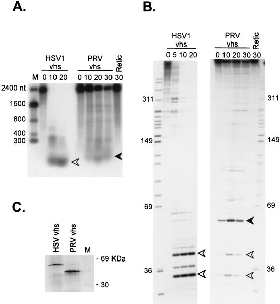 FIG. 10