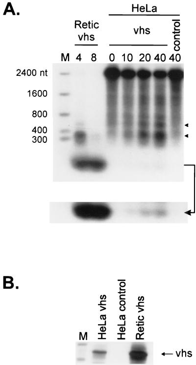 FIG. 5