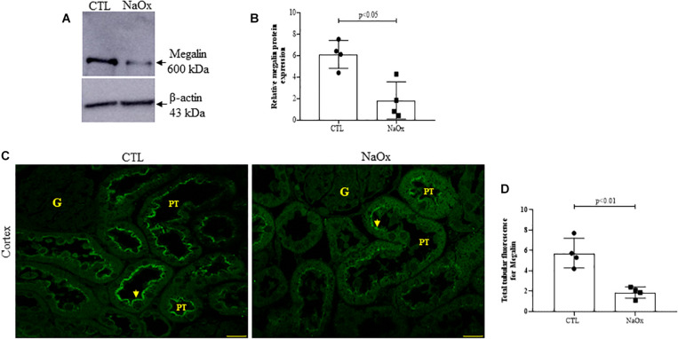 FIGURE 4