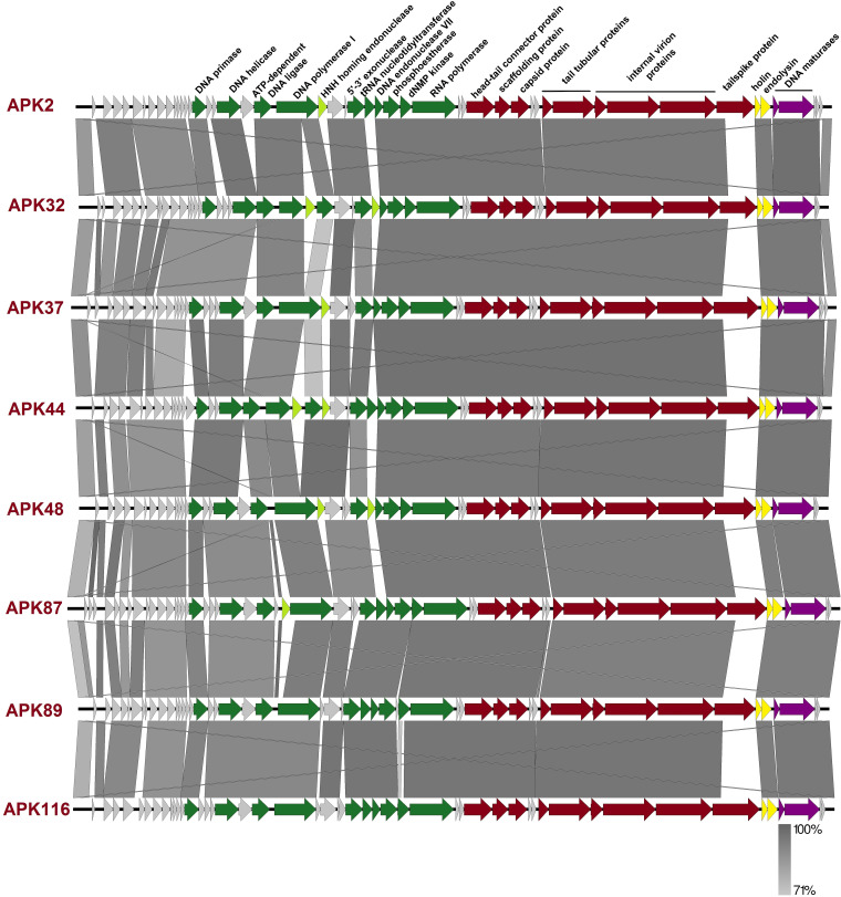 FIG 3