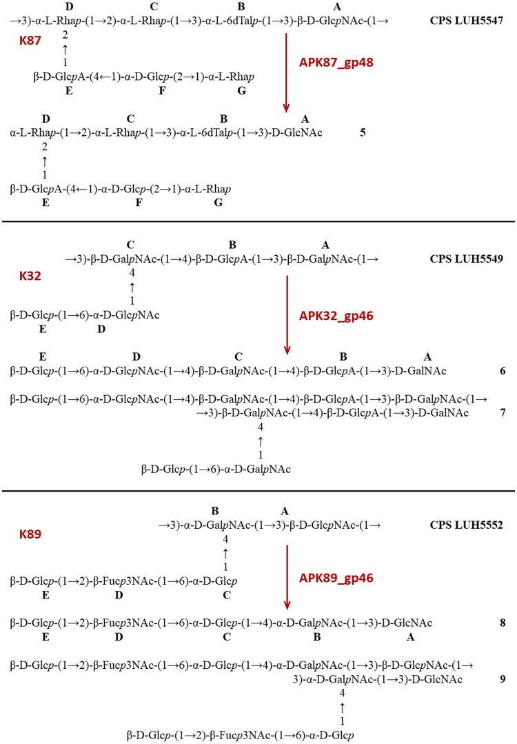 FIG 6