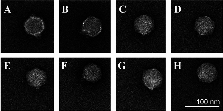 FIG 2