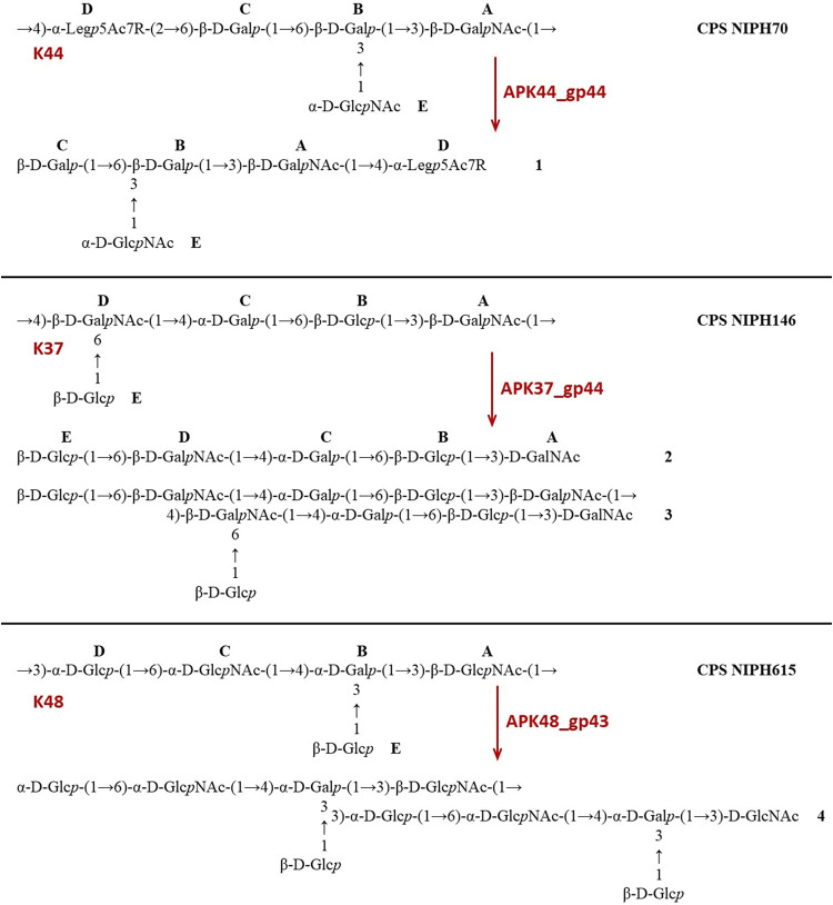 FIG 5