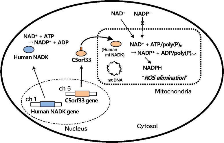 Figure 6. 