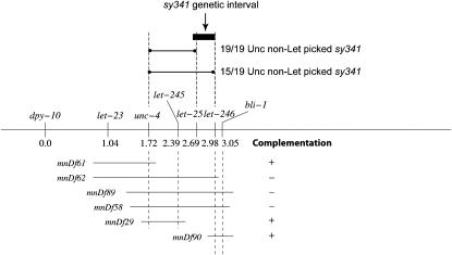 Figure 1.—