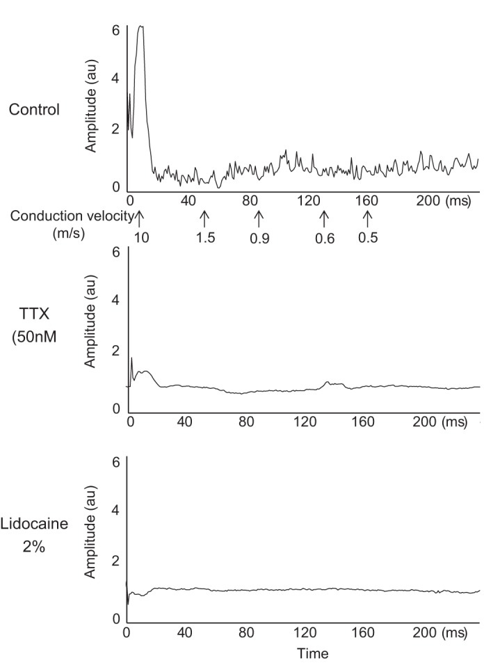 Fig. 3.