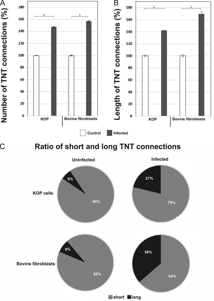 FIG 5