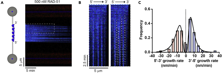 Figure 5