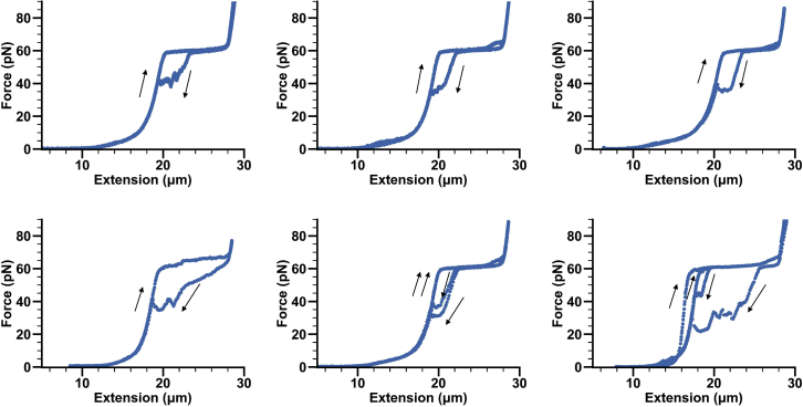 Figure 4