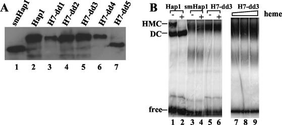 FIG. 5.