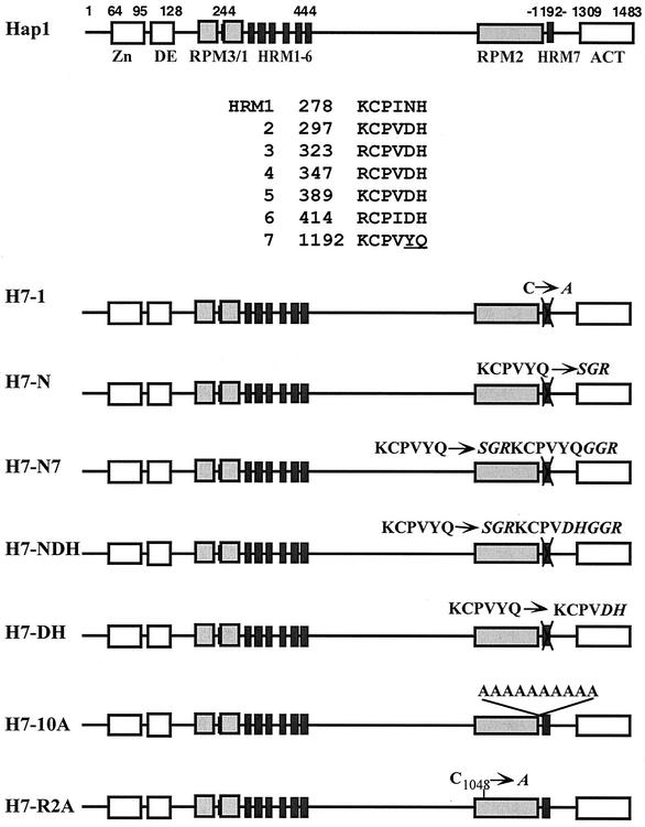 FIG. 1.