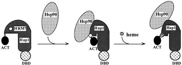 FIG. 7.