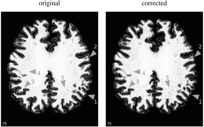 Fig. 7