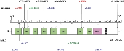 Figure 1.