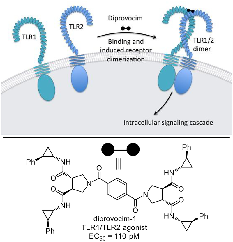 Figure 19.