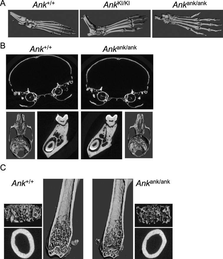 FIG. 6