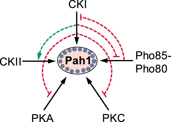 Figure 9.