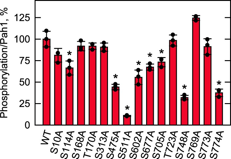 Figure 4.