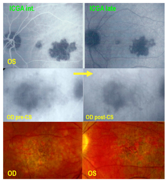 Figure 20