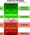 Figure 1 is a flowchart titled Exposure Paradigm, subset of rats from each generation used for breeding that has seven steps. Step 1: F 0: the rats are exposed. Step 2: F 1: direct first exposure. Dimethyl sulfoxide, Aroclor 1221, or vinclozolin (E 8 to E 18). The behavior tests include the open field test, the light or dark box test, and the elevated plus maze test. Step 3: F 2: It includes maternal and paternal germline. Step 4: F 3: Ancestral first exposure. The behavior tests include the open field test, the light or dark box test, and the elevated plus maze test. Step 5: F 4: Ancestral first exposure, direct second exposure. Dimethyl sulfoxide, Aroclor 1221, or vinclozolin (E 8 to E 18; same or different). The behavior tests include the open field test, the light or dark box test, and the elevated plus maze test. Step 6: F 5: It includes maternal and paternal germline. Step 7: F 6: Ancestral first and second exposure. The behavior tests include the open field test, the light or dark box test, and the elevated plus maze test.