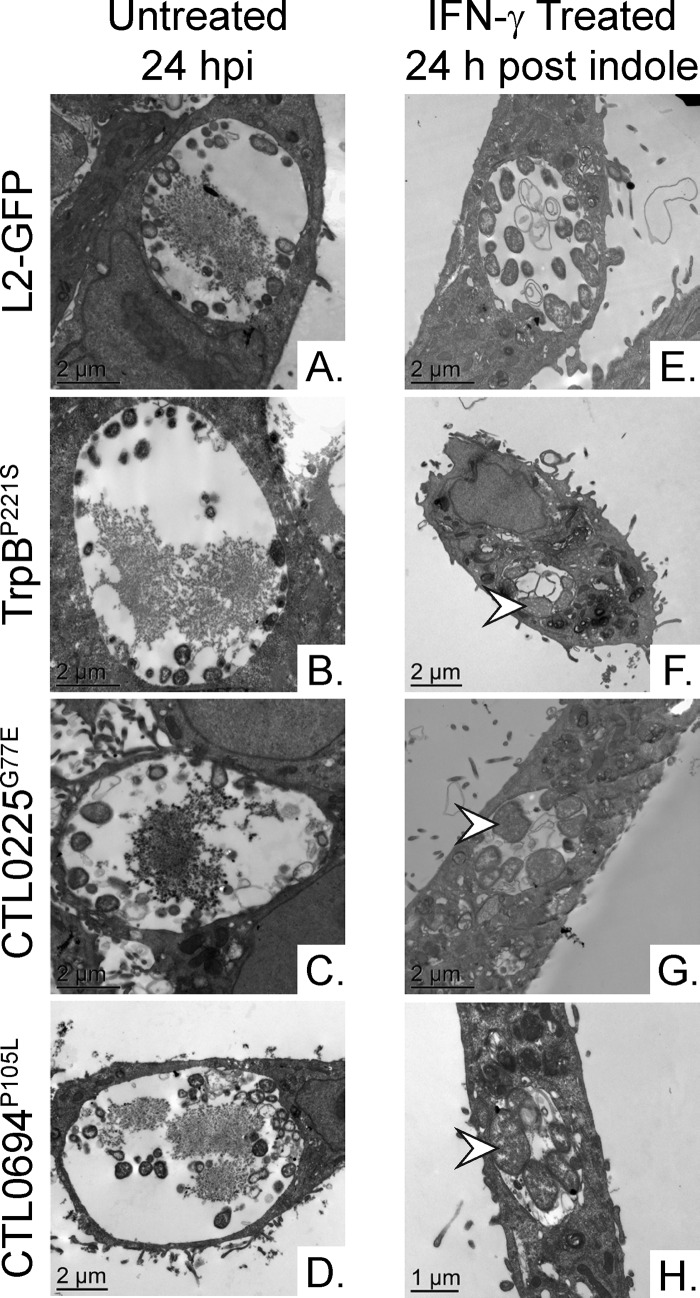 FIG 5