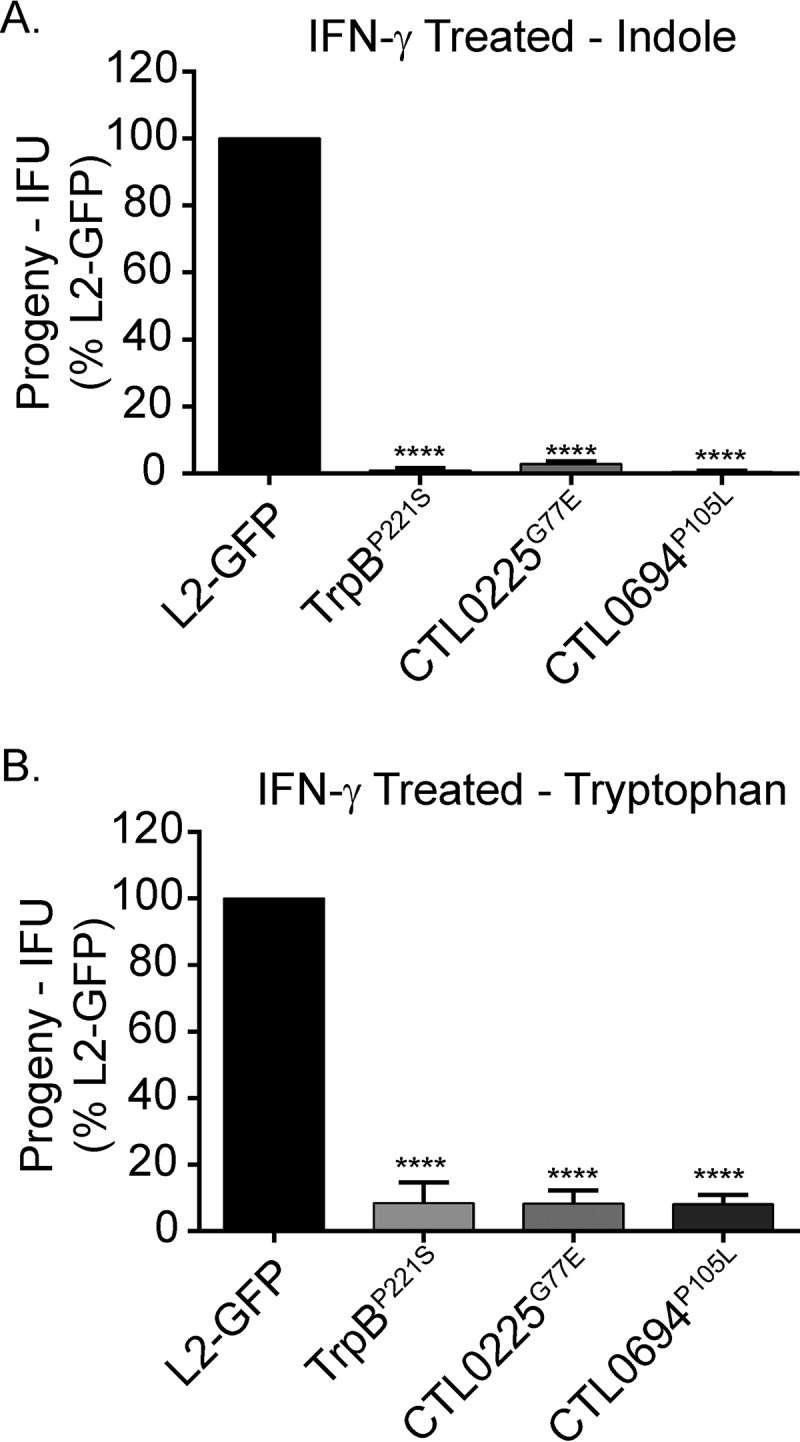 FIG 6