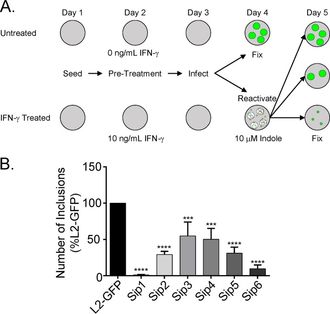 FIG 1